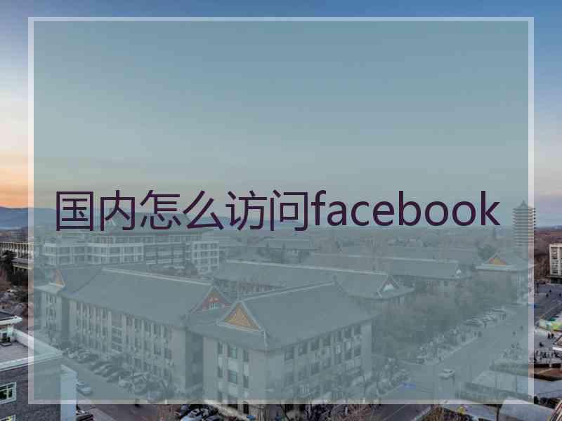 国内怎么访问facebook