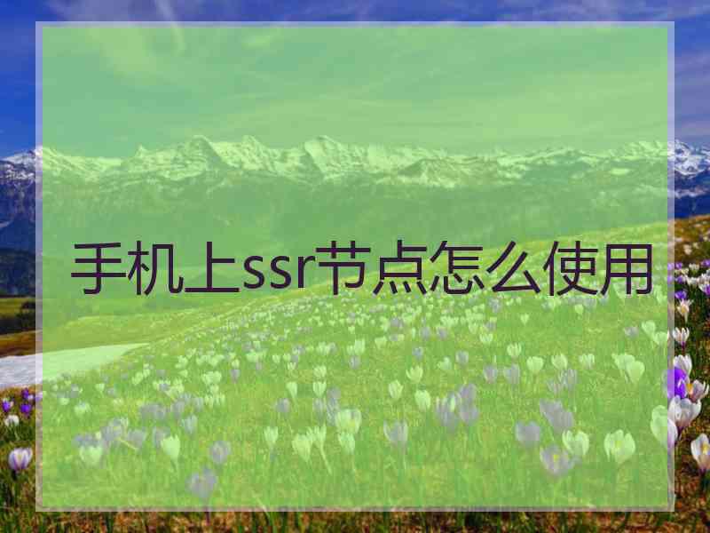 手机上ssr节点怎么使用