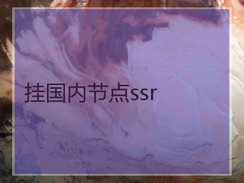 挂国内节点ssr