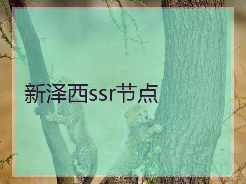 新泽西ssr节点