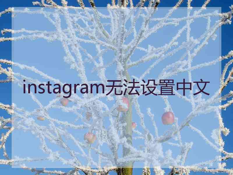 instagram无法设置中文