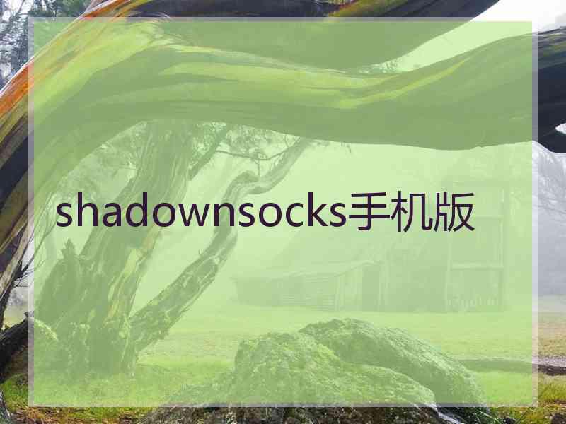 shadownsocks手机版