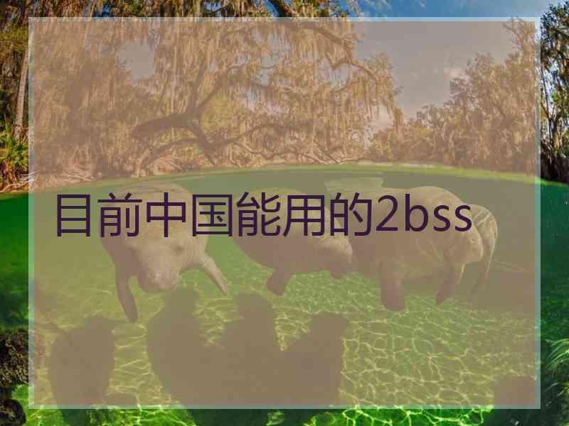 目前中国能用的2bss