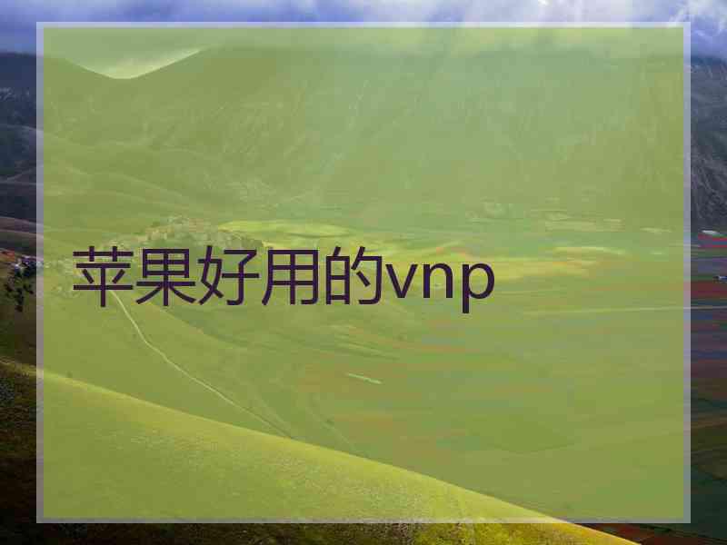 苹果好用的vnp