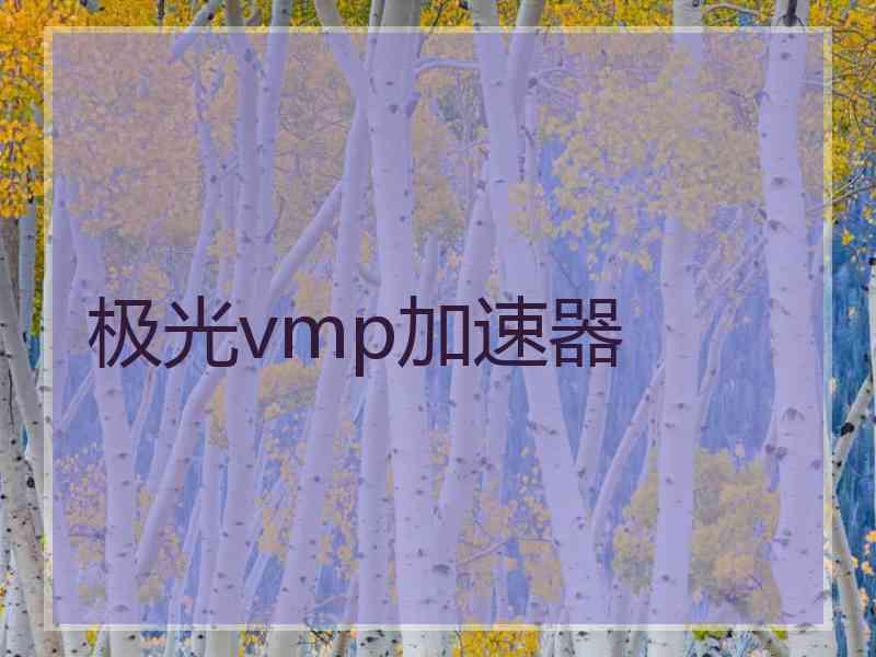 极光vmp加速器