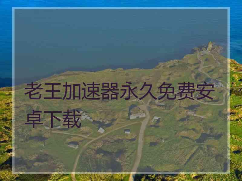 老王加速器永久免费安卓下载