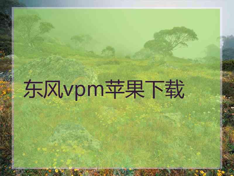 东风vpm苹果下载