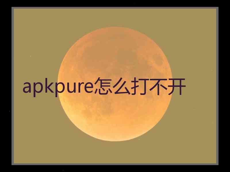 apkpure怎么打不开