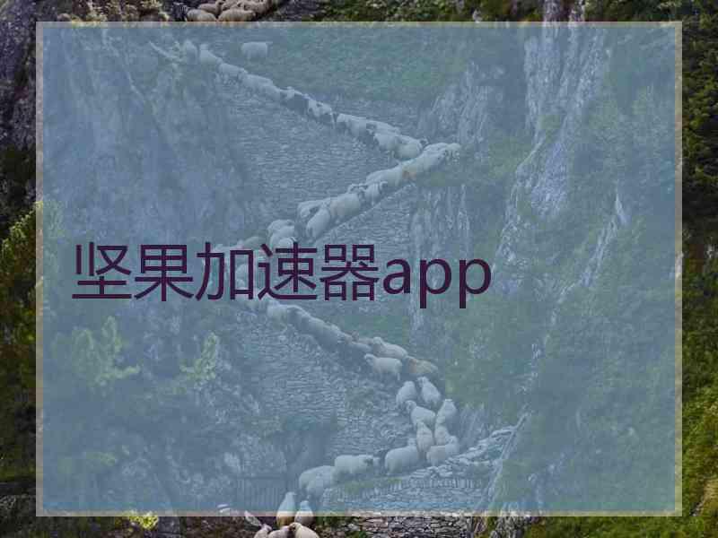 坚果加速器app