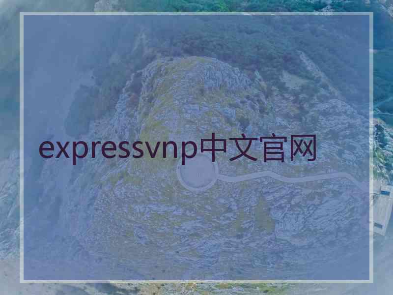 expressvnp中文官网