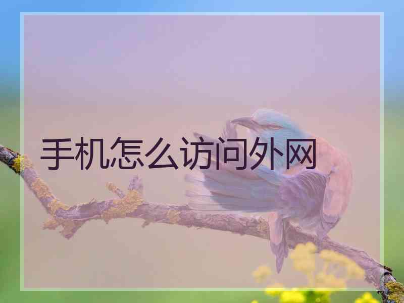 手机怎么访问外网