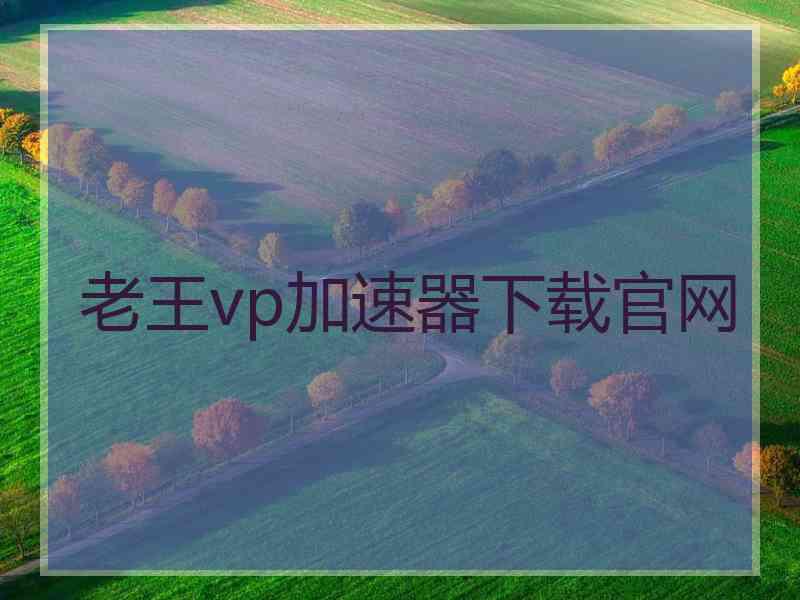 老王vp加速器下载官网