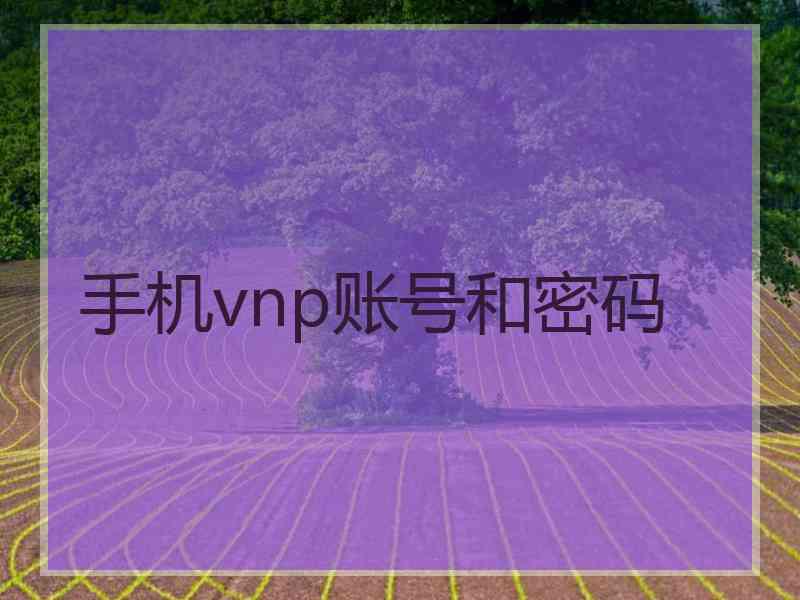 手机vnp账号和密码