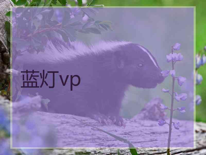 蓝灯vp