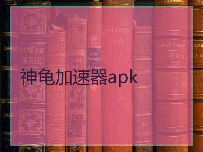 神龟加速器apk