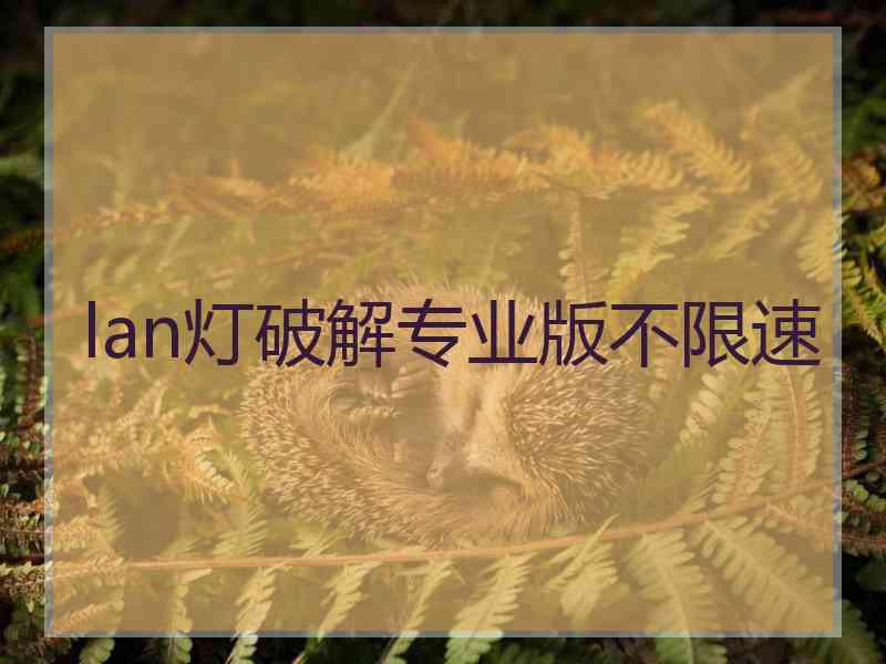 lan灯破解专业版不限速