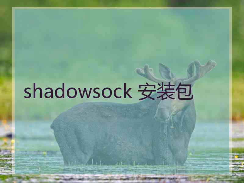 shadowsock 安装包