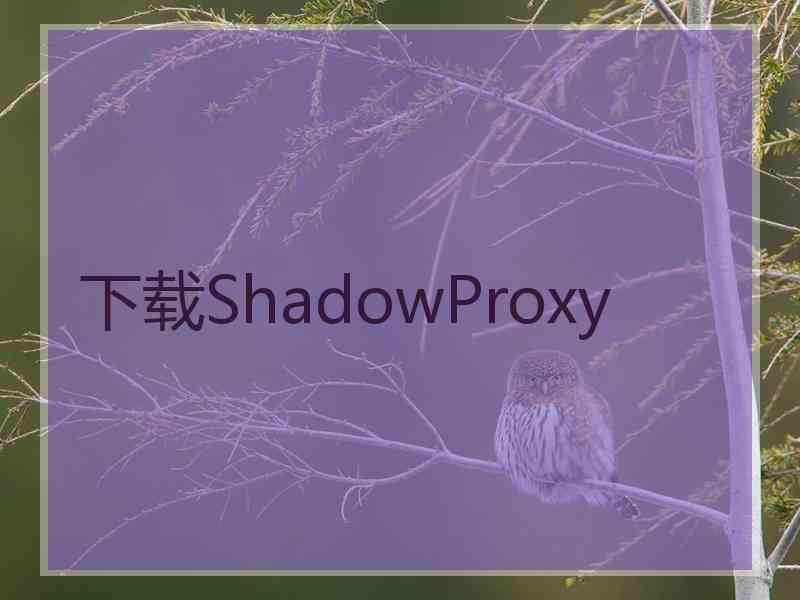 下载ShadowProxy