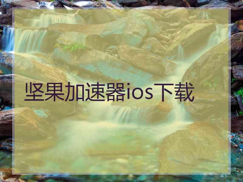 坚果加速器ios下载